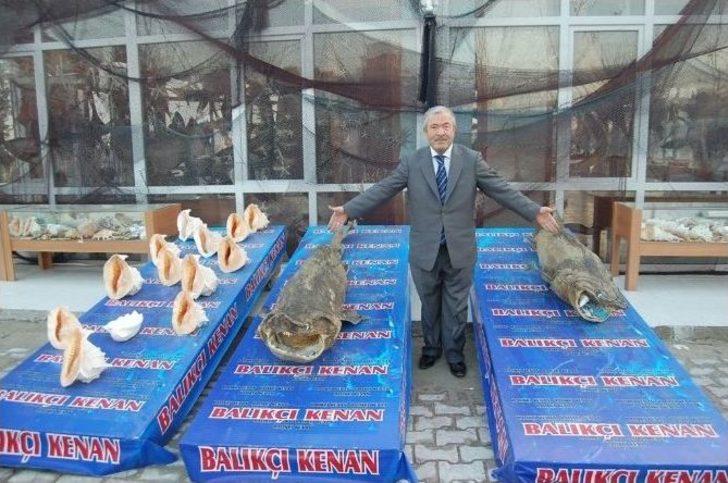 Yeni Yılda Yeni Mumyalar G4