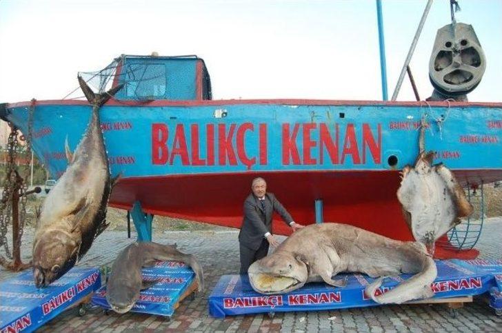 Yeni Yılda Yeni Mumyalar G5