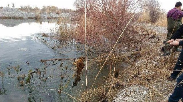 Ceyhan Nehri’nde Balık Ölümleri İnceleniyor