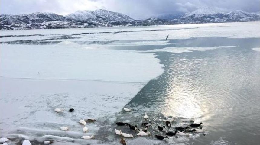 Eğirdir G&ouml;l&uuml; Buz Tuttu