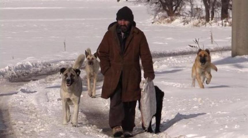 Uşak'ta Karda A&ccedil; Kalan Sokak Hayvanlarına Yiyecek