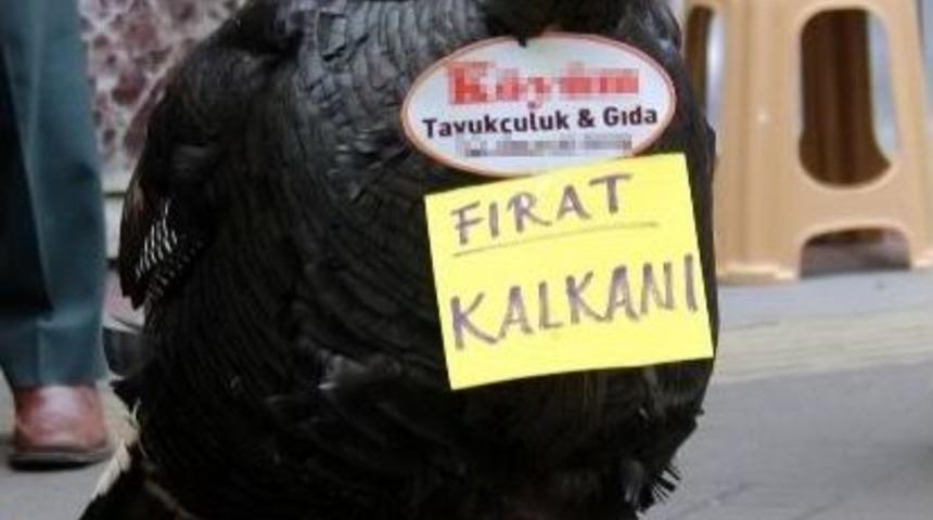 Dev Hindiye &ldquo;fırat Kalkanı&rdquo; İsmini Verdi