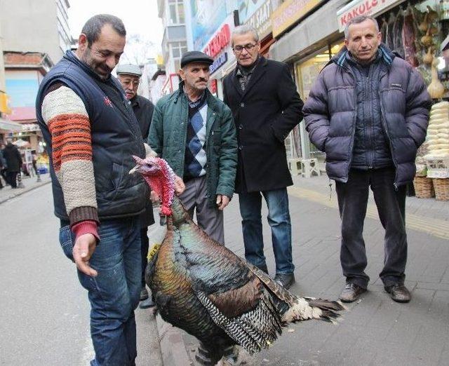 Dev Hindiye “fırat Kalkanı” İsmini Verdi