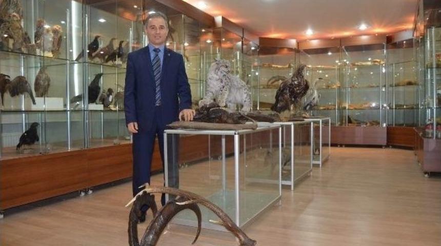 Kt&uuml; Yaban Hayatı M&uuml;zesi&rsquo;nde Yok Yok