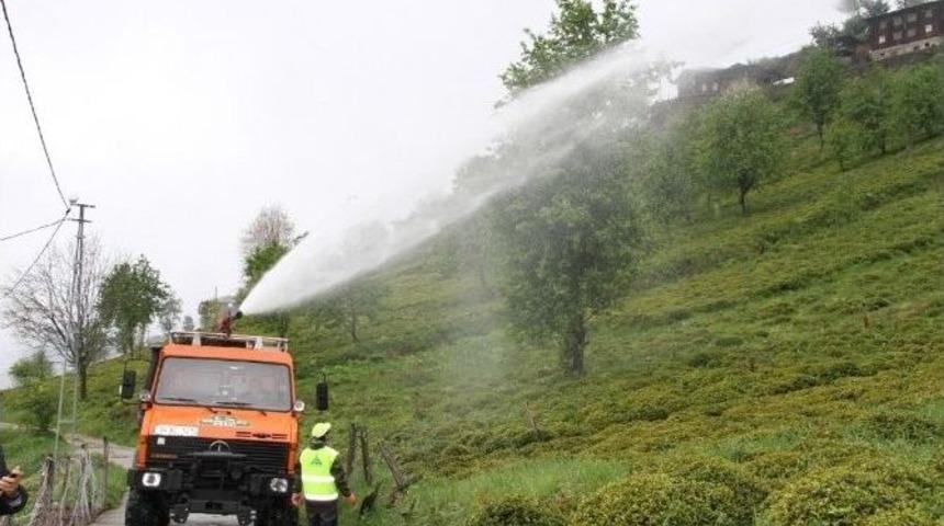 Çay Üretiminde Kimyasal Gübre Tarih Oluyor