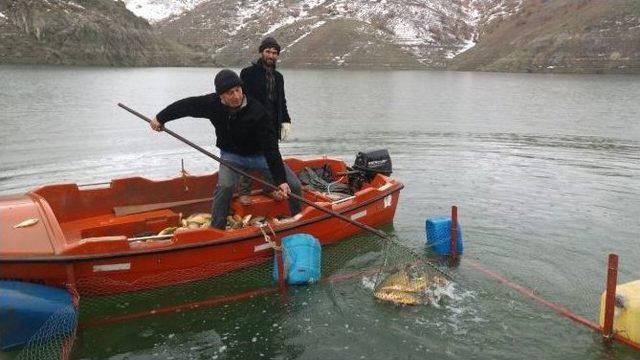 Kahramanmaraşlı Balıkçılar, ‘vira Bismillah’ Deyip Ağlarını Attılar