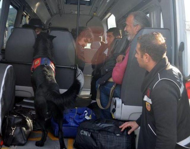 Bodrum'da Yeni Yıl Önlemleri