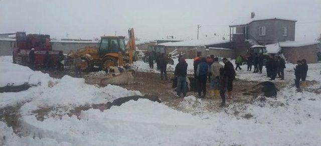 Aksaray’da Çatısı Kar Ağırlığına Dayanamayan 2 Mandıra Çöktü