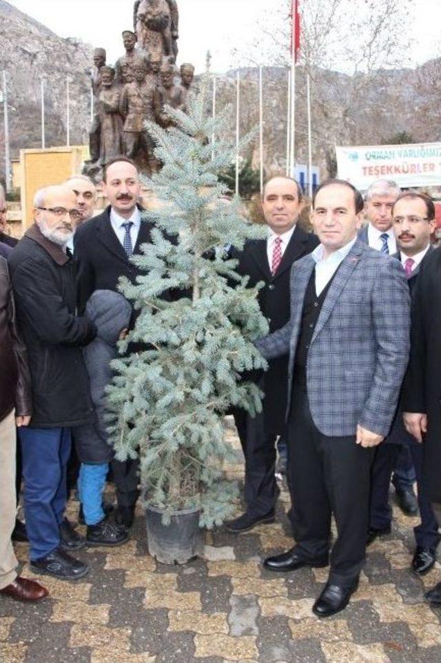 Bir Kamyon Dolusu Fidan 10 Dakikada Dağıtıldı