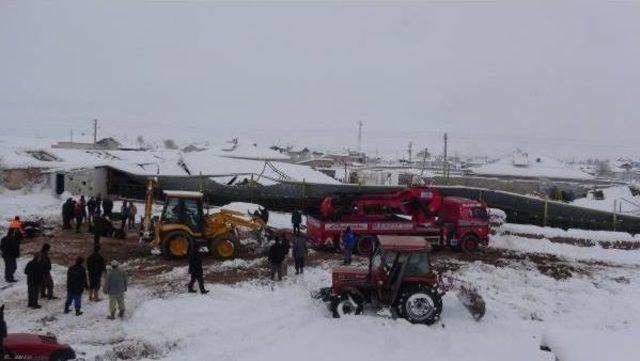 Aksaray’Da Kar Nedeniyle 2 Mandıranın Çatısı Çöktü: 20 Inek Telef Oldu