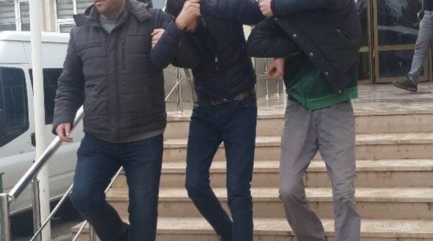 Bursa&rsquo;da Bonzai Operasyonu