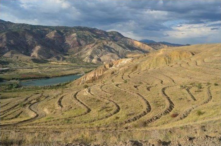 Koyulhisar’da Ağaçlandırma Çalışmaları G1