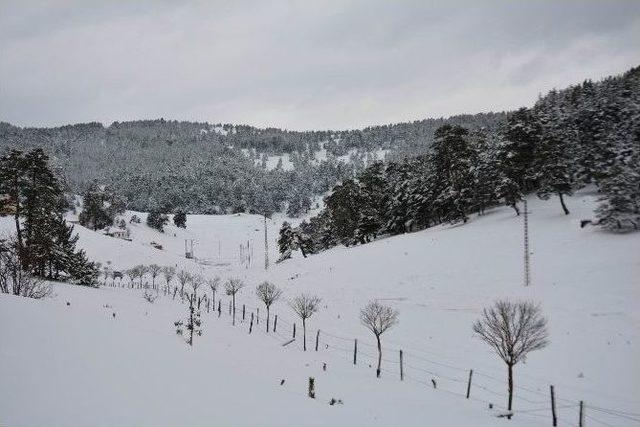 Koyulhisar’da Parke Taşı Döşeme Çalışmaları