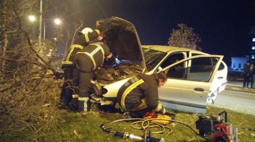 Otomobil Ref&uuml;jdeki Ağaca &Ccedil;arparak Durabildi