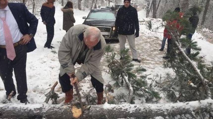 Haberal&rsquo;ın Aracının &Ouml;n&uuml;ne Ağa&ccedil; Devrildi