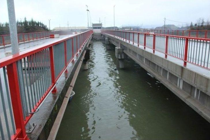 Gülüç Deresinde Sel Tehlikesi G4