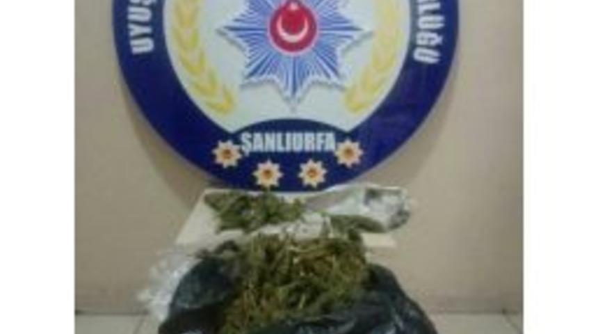 Şanlıurfa&rsquo;da Uyuşturucuya Ge&ccedil;it Yok