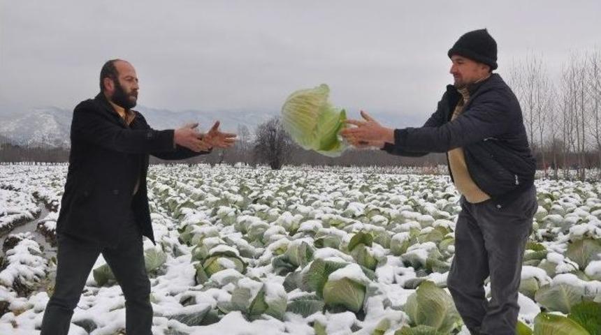 İneg&ouml;l&rsquo;de Soğuk Hasat