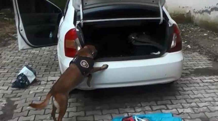 Giresun&rsquo;da Uyuşturucu Operasyonu: 7 G&ouml;zaltı