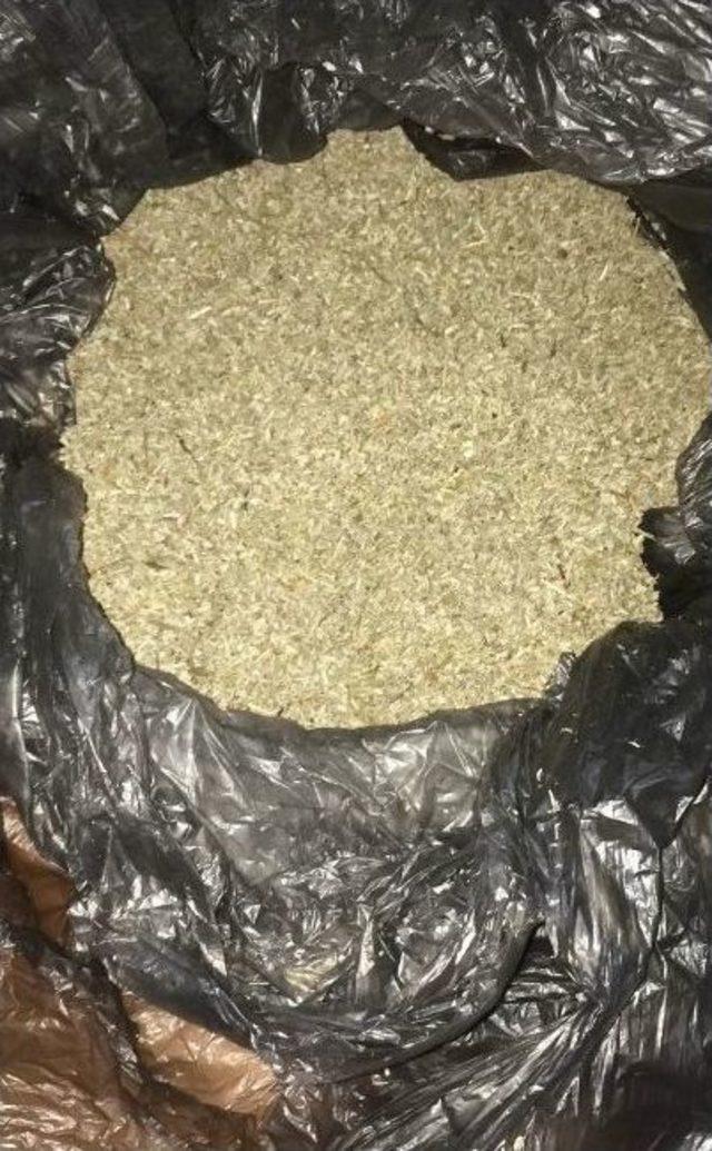 1 Kilo Bonzai İle Yakalanan Şahsa 12 Yıl Hapis Cezası