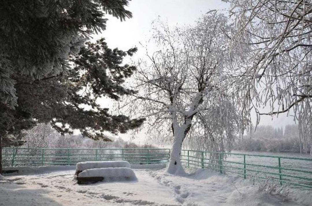 Muş&rsquo;ta Kış Manzaraları