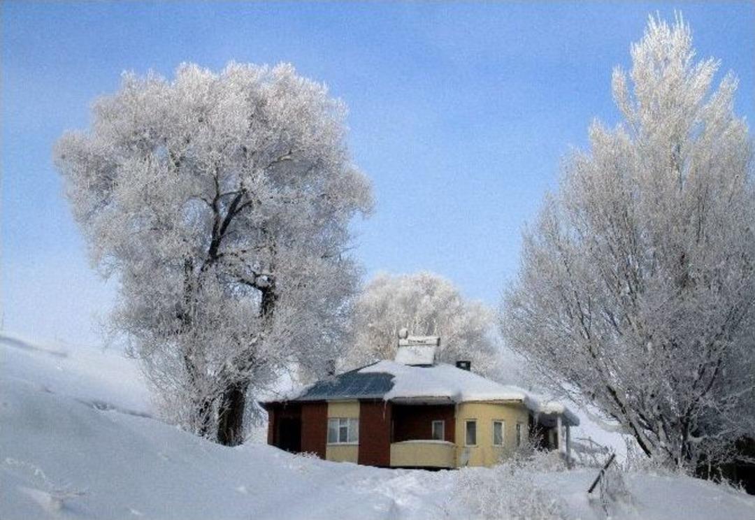 &Ccedil;aldıran Dondu