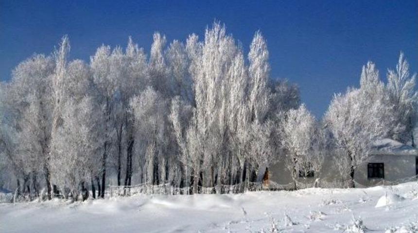 &Ccedil;aldıran Buz Tuttu