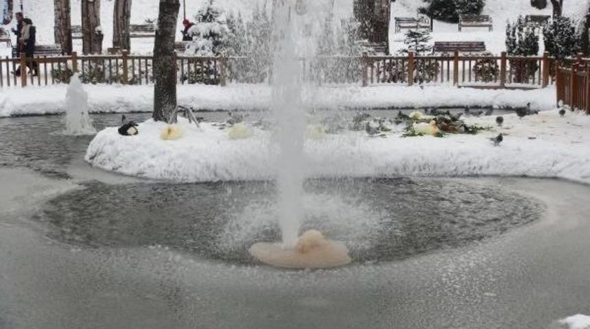 Kuğulu Park'ta Kar Selfiesi