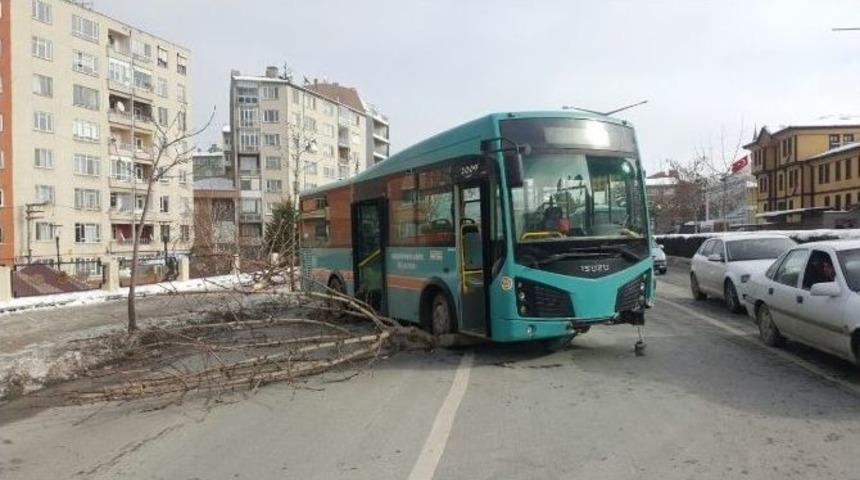 Eskişehir&rsquo;de Yoldan &Ccedil;ıkan Otob&uuml;s Ağacı S&ouml;kerek Durabildi