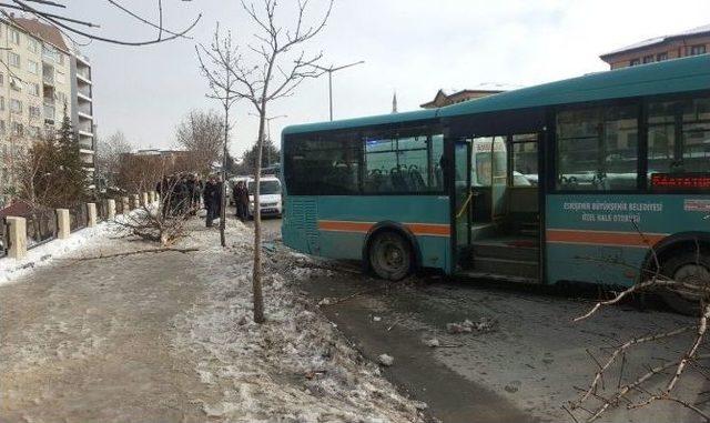 Eskişehir’de Yoldan Çıkan Otobüs Ağacı Sökerek Durabildi