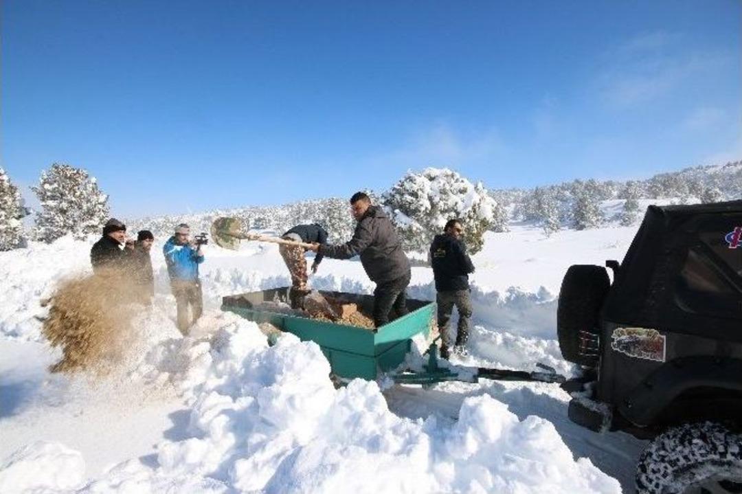 Beyşehir&rsquo;de Yaban Hayvanlarına Yiyecek Desteği