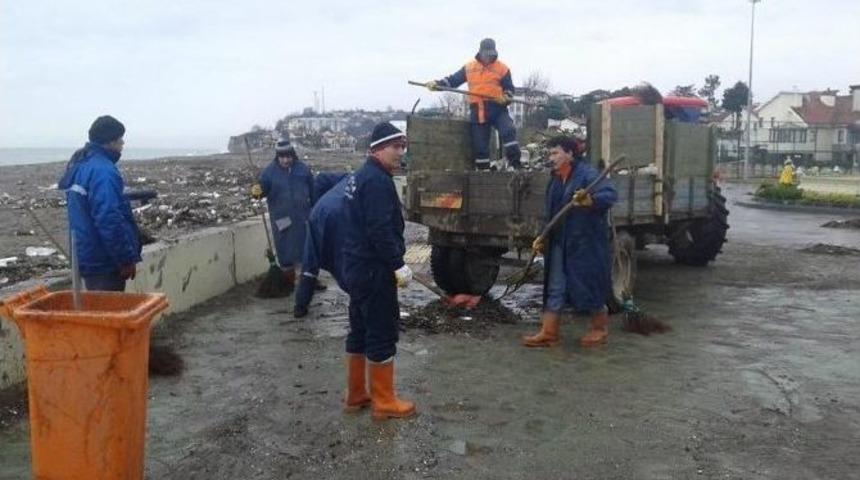 Liman &Ccedil;evresi Ve Sahiller Temizleniyor