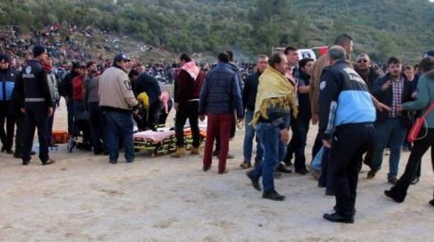 Bodrum'da Deve G&uuml;reşi Festivali