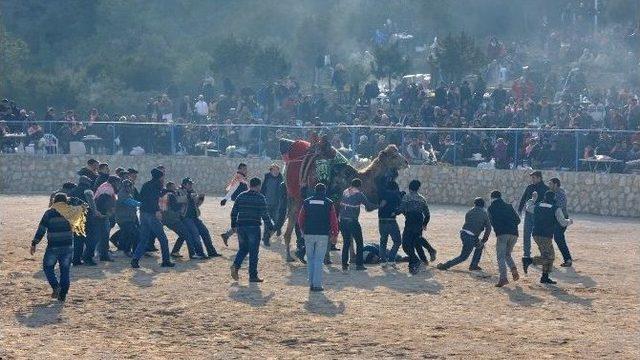 Deveciler Devlerden Daha Kindar Çıktı