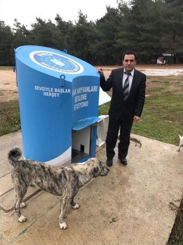 Bursa Büyükşehir Belediyesi Sokak Hayvanları İçin Yem Dağıttı