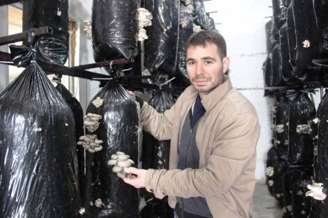 (&ouml;zel Haber) Bunlar Da Organik Mantar