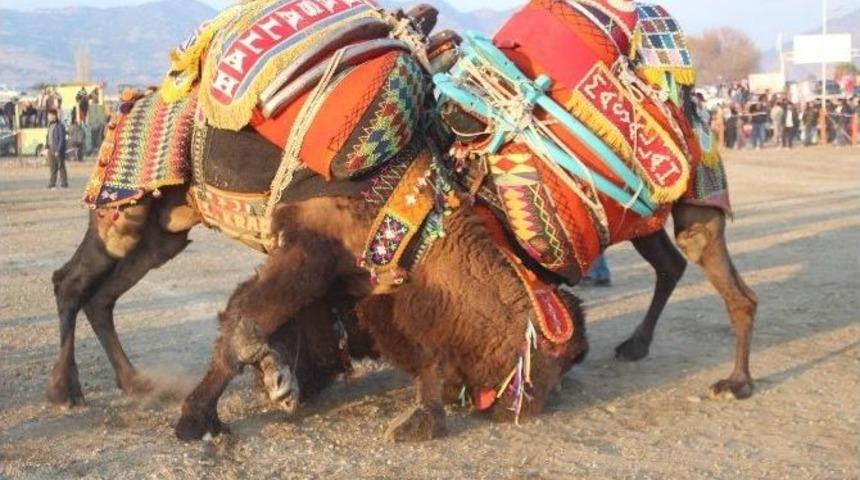 Yılın İlk G&uuml;reşi İncirliova Arenası&rsquo;nda Yapıldı