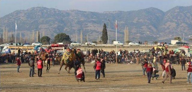 Yılın İlk Güreşi İncirliova Arenası’nda Yapıldı