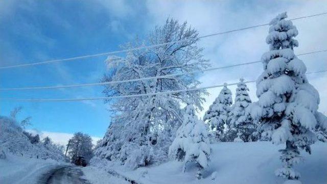 Sedaş: Elektrik Kesintilerinin Nedeni Buz Yükü