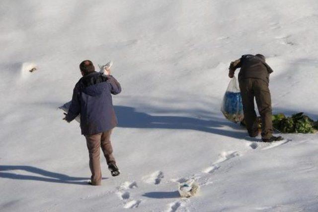 Şırnak'ta Yaban Hayvanlar Için Doğaya Yem Bırakıldı