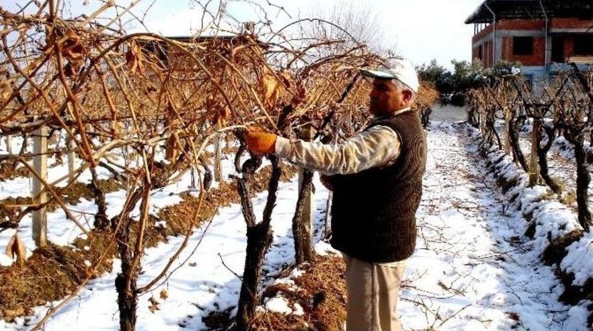 Kar &Uuml;zerinde Keyifli &Ccedil;alışma