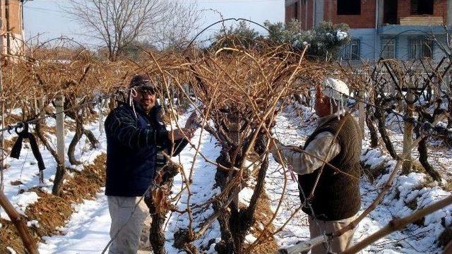 Kar Üzerinde Keyifli Çalışma