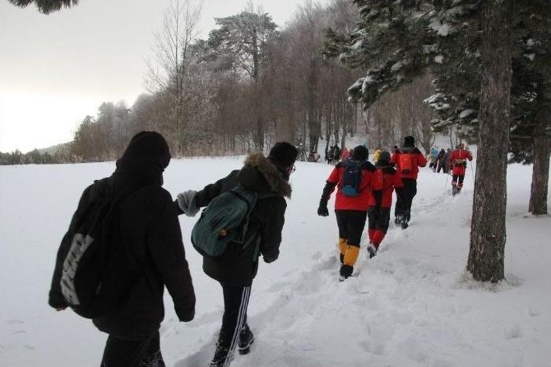 Tabiat Tutkunları, Domani&ccedil; Ormanlarında Buluşuyor