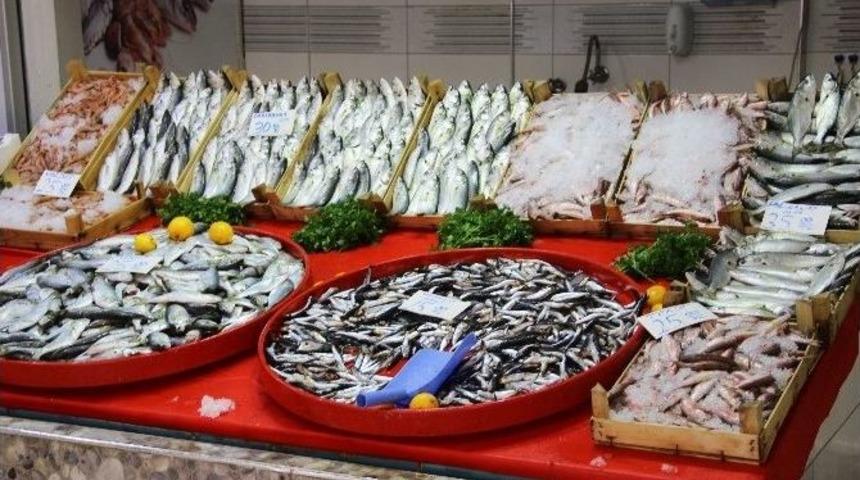 Gırgırlar A&ccedil;ılamayınca Tezgahlar Olta Balığına Kaldı