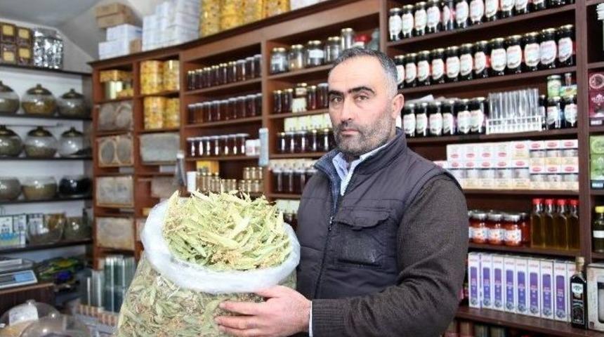 Yerli Ihlamur Piyasalarda