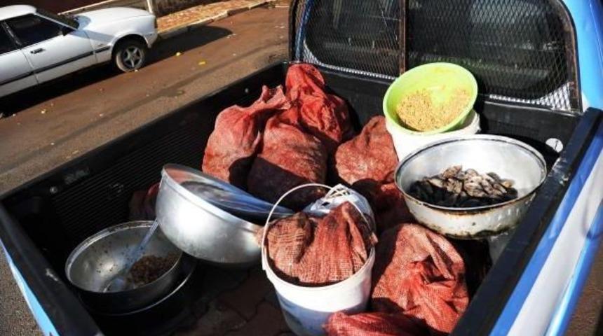 Antalya'da 1.7 Ton Midye Dolmaya El Konuldu