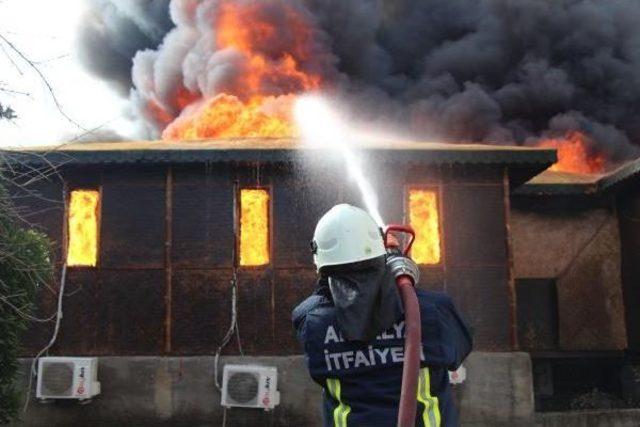 Kemer de Hamam Alev Alev Yandı 2