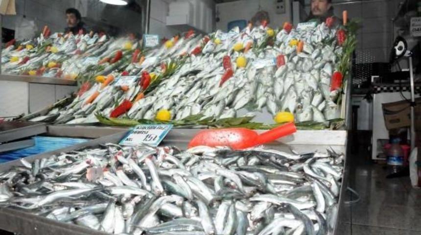 Soğuk Havayla Balık Tezgahlarındaki &Ccedil;eşit Azaldı