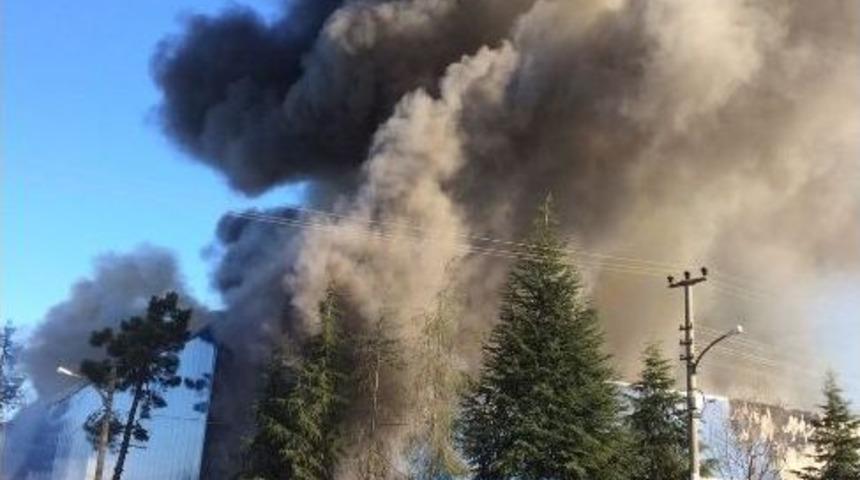 Arsin Organize Sanayi Sitesi&rsquo;nde Yangın