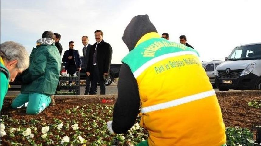 Atilla, Mevsimlik &Ccedil;i&ccedil;ek Dikimi &Ccedil;alışmalarını Denetledi